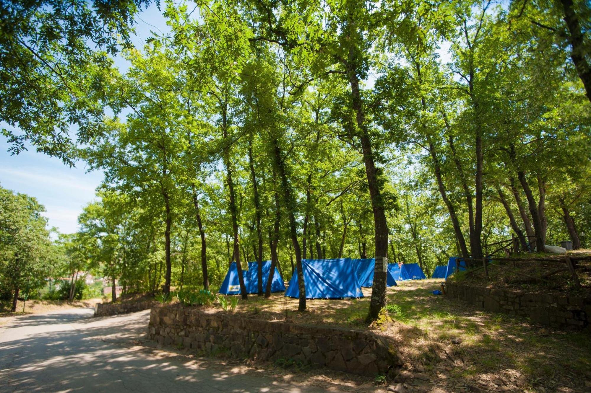 Hu Firenze Certosa Camping In Town Impruneta Exteriör bild